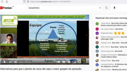 Com plantio 100% manual de cana, a Usina Santa Ângelo consegue taxa de falhas de menos de 1%