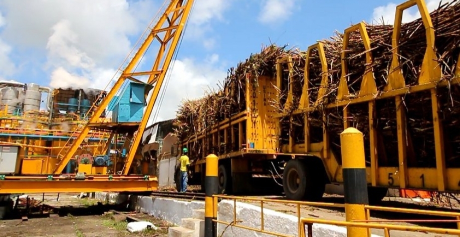 A safra 21/22 segue a pleno vapor em Alagoas - Foto: Assessoria