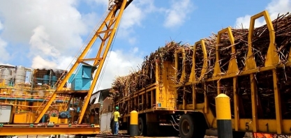 Sindaçúcar-AL: safra 21/22 tem crescimento de 25,4% em comparação ao ciclo passado