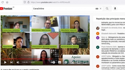 Sim, é grande o desmatamento na Amazônia. O Brasil precisa falar a verdade na COP 26