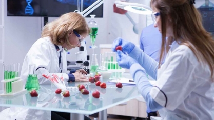 Coplacana participará do WORLD FOOD DAY AMÉRICAS 2021