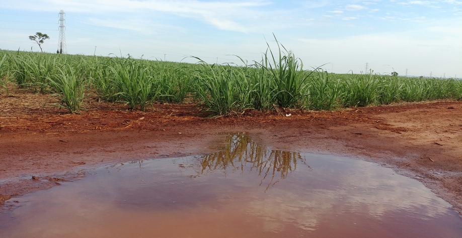  A previsão climática tem grande importância para obtenção de melhor resultado na aplicação de insumos, que acontece durante o ano todo