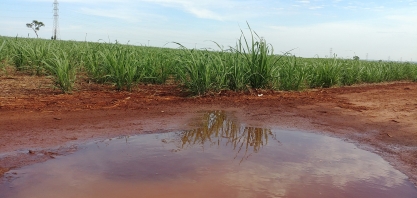 La Niña pode ocorrer nesta primavera e reduzir a precipitação de chuvas no Sul e Sudeste do Brasil