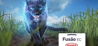 Novo fungicida para cana-de-açúcar permite controle das principais doenças e grandes ganhos em produtividade