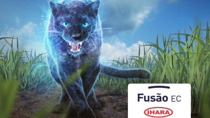 Novo fungicida para cana-de-açúcar permite controle das principais doenças e grandes ganhos em produtividade