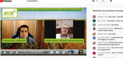 Produtor realiza 100% do plantio com o auxílio de plantadoras automatizadas e utiliza entre 7 e 13 toneladas de cana por hectare