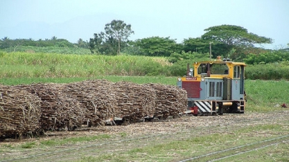 Açúcar: exportação da Austrália deve crescer para 3,6 mi de toneladas em 2021/22