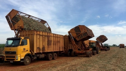 Datagro vê melhora na safra 22/23 de cana do CS, mas volume ainda abaixo de 20/21