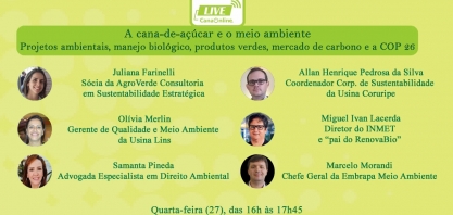 Nesta quarta feira acontece a live “A cana-de-açúcar e o meio ambiente”