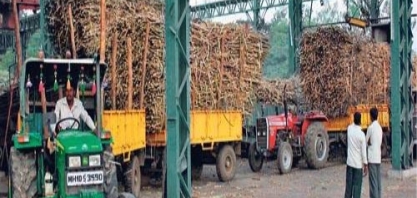 Índia precisa exportar mais açúcar sem subsídio para sustentar mercado local, diz governo