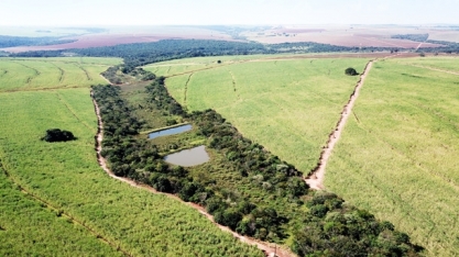 Em dez anos, projeto “Semear” da Usina Lins já plantou 852 mil mudas de árvores
