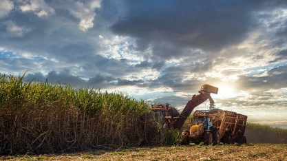 FMC participa da 21ª Conferência Internacional DATAGRO sobre Açúcar e Etanol