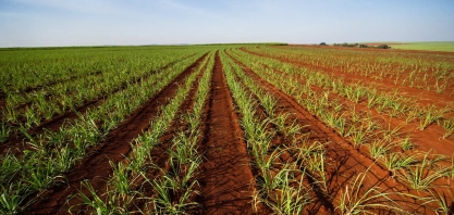 Mercado de carbono possibilita novos produtos para o setor sucroenergético