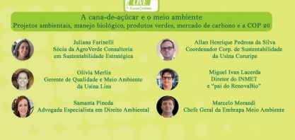 A cana-de-açúcar e o meio ambiente