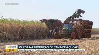 Levantamento aponta queda na produção de cana-de-açúcar em Goiás