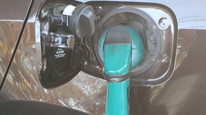 Brasil terá oportunidade de ouro na COP-26