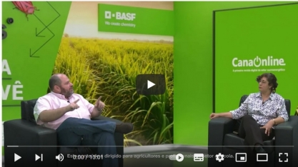 Confira entrevista sobre o Entigris - o inseticida inovador da BASF para o manejo da cigarrinha-das-raízes em cana-de-açúcar