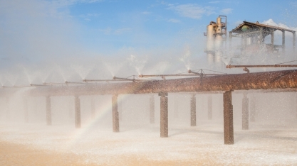 Setor sucroenergético avança na parte ambiental, mas peca na comunicação das ações para a população