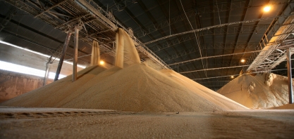 Outubro registra queda na produção de açúcar e etanol na região Centro-Sul