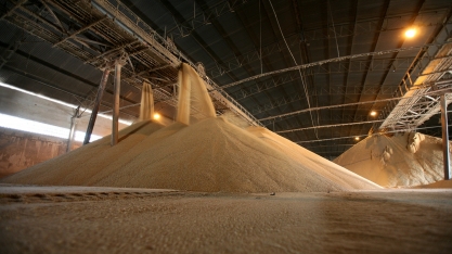 Outubro registra queda na produção de açúcar e etanol na região Centro-Sul