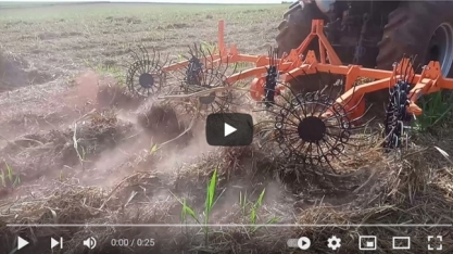 O momento é adequado para combater a cigarrinha-das-raízes. E desenleirar a palha da cana faz toda a diferença