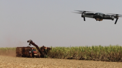 Revolução digital chega aos canaviais e usinas paulistas agora são 4.0