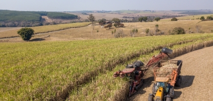 Webinar debaterá as melhores práticas ESG na cadeia da cana