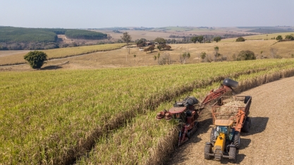 Webinar debaterá as melhores práticas ESG na cadeia da cana