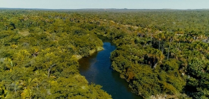 Usina Coruripe passa a integrar maior iniciativa voluntária de sustentabilidade corporativa do mundo