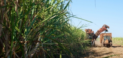 Avanço da tecnologia canavieira aumentará produtividade e reduzirá emissão de carbono