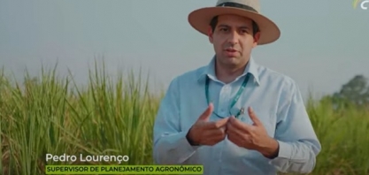 Usina São José da Estiva insere em seu plantel varietal a CTC9001BT e obtém resultado de 17 toneladas de açúcar por hectare