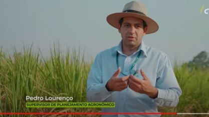 Usina São José da Estiva insere em seu plantel varietal a CTC9001BT e obtém resultado de 17 toneladas de açúcar por hectare