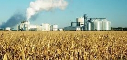 Governadores pedem mistura permanente de 15% de etanol à gasolina nos EUA