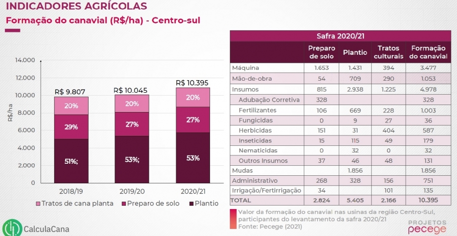 Tabela Custo Formação. Fonte: Projetos Pecege