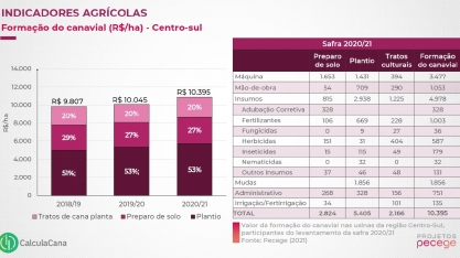 Custo de hectare plantado com cana deve ultrapassar os R$ 12.000