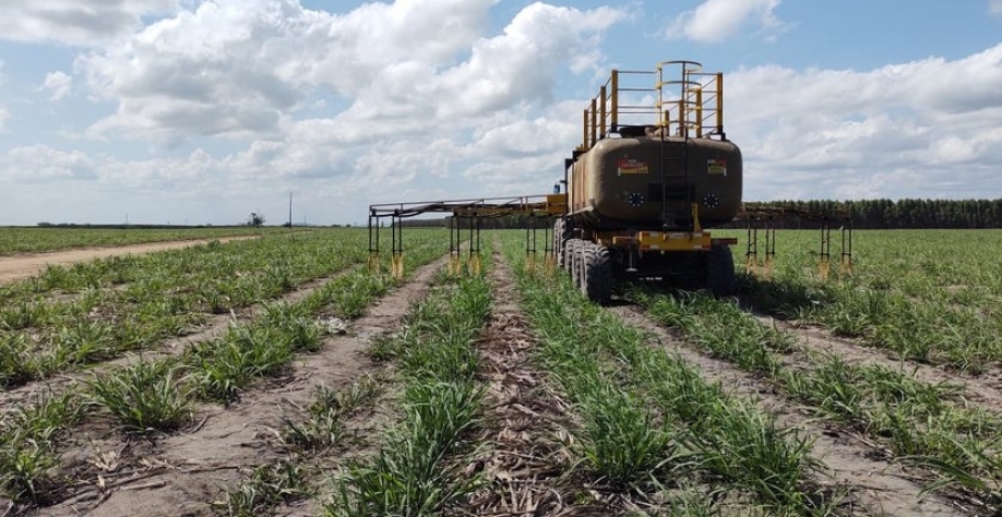 O processo de inovação no campo é uma constante - Foto: Tatiane Gomes