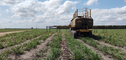 Vinhaça concentrada amplia produtividade de cana