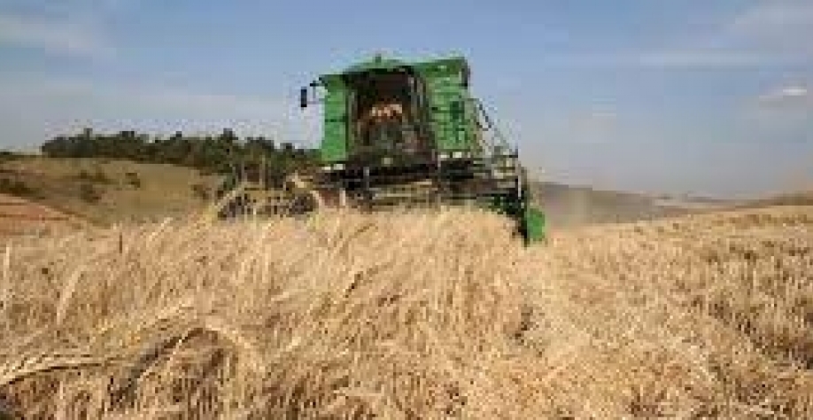 Foto ilustração: Adair Sobczak