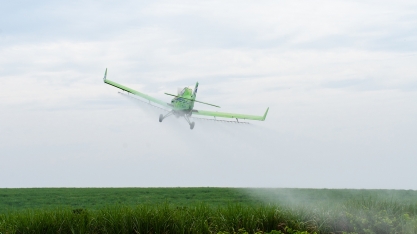 Com quebra na produção e redução de área, maturadores serão essenciais para extrair o máximo da cana e aproveitar os bons preços do mercado