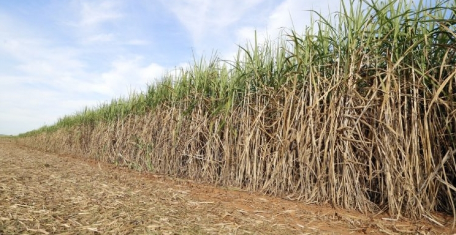 Imagem de João Lima por Pixabay