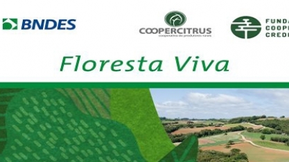Coopercitrus adere a iniciativa Floresta Viva, do BNDES, para reflorestar 800 hectares na Bacia do Rio Grande em MG e SP