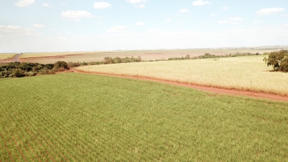 Irrigação por gotejo incrementa a produtividade da cana em até 50% em anos “normais” e de 70% a 80% em anos de alto déficit hídrico