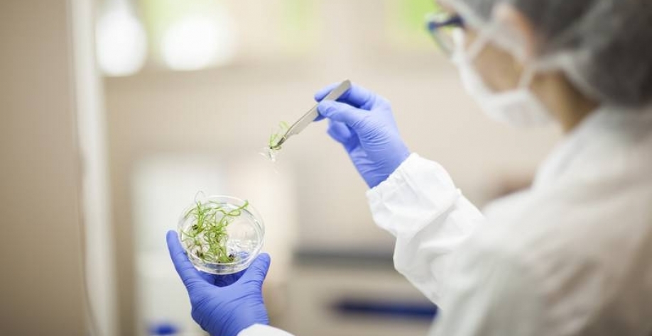 Laboratório do Centro de Tecnologia Canavieira (CTC) Capitalizada e sem pressa, empresa transferiu plano de IPO para 2022, mas mantém conversas constantes com investidores (Divulgação CTC)