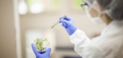 CTC transfere plano de IPO para 2022