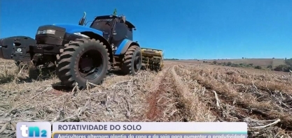 Agricultores do centro-oeste paulista adotam a rotação de plantio entre soja e cana