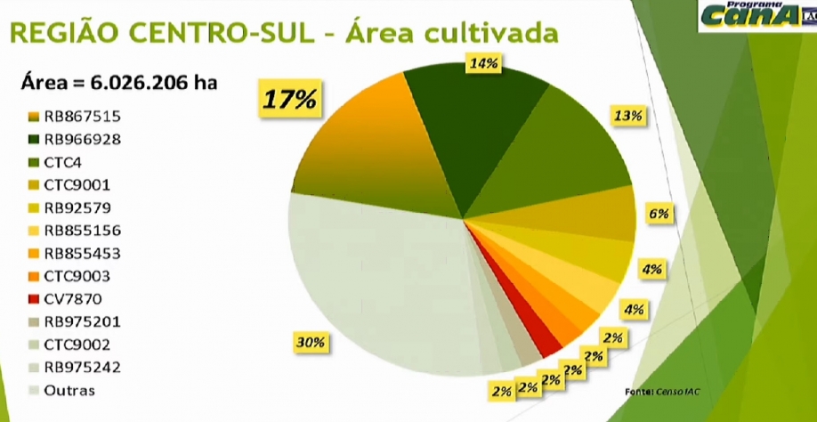 Divulgação Centro de Cana do IAC