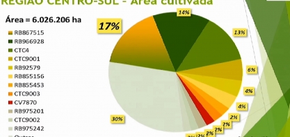 Pela primeira vez, RB867515 não aparece como a variedade mais cultivada em nenhuma região de São Paulo