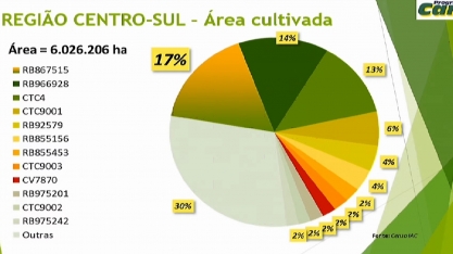 Pela primeira vez, RB867515 não aparece como a variedade mais cultivada em nenhuma região de São Paulo