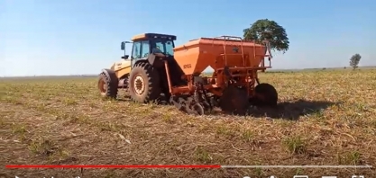 Para que serve o corte de soqueira?