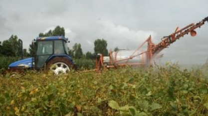 Crédito rural: BNDES suspende pedidos de financiamento para Pronaf Investimento com juros de 3% ao ano